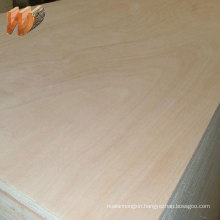 birch maple red oak pine birch veneer uv finished plywood